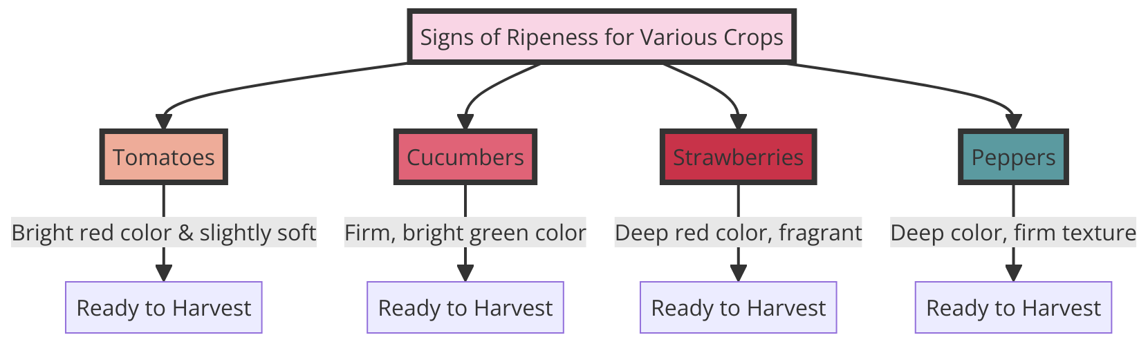 signs of ripeness for various crops, designed to help gardeners identify the optimal time for harvesting each type