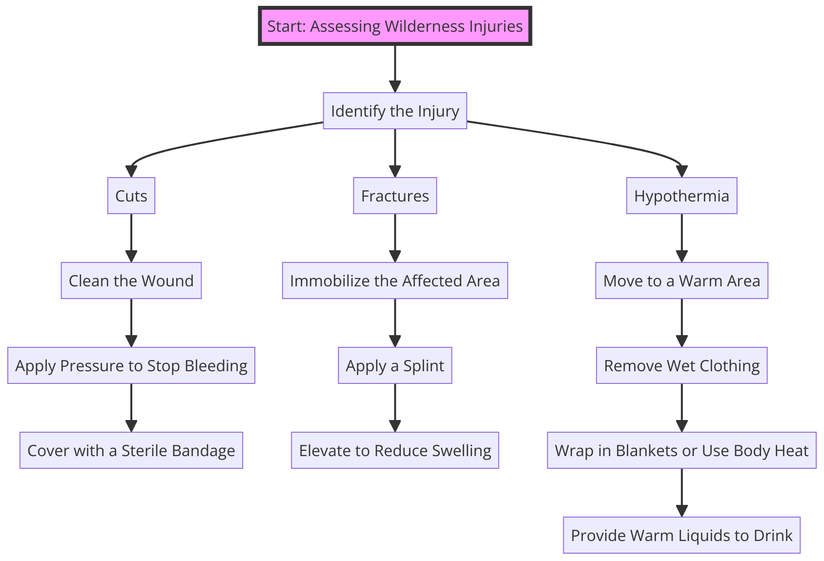  the assessment and response process for common wilderness injuries, such as cuts, fractures, and hypothermia
