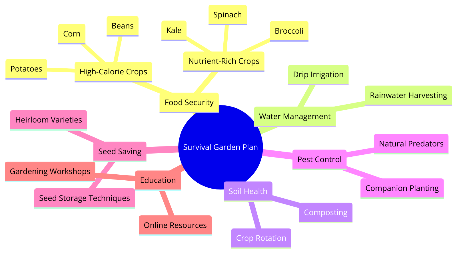 a survival garden plan, detailing aspects from food security to education