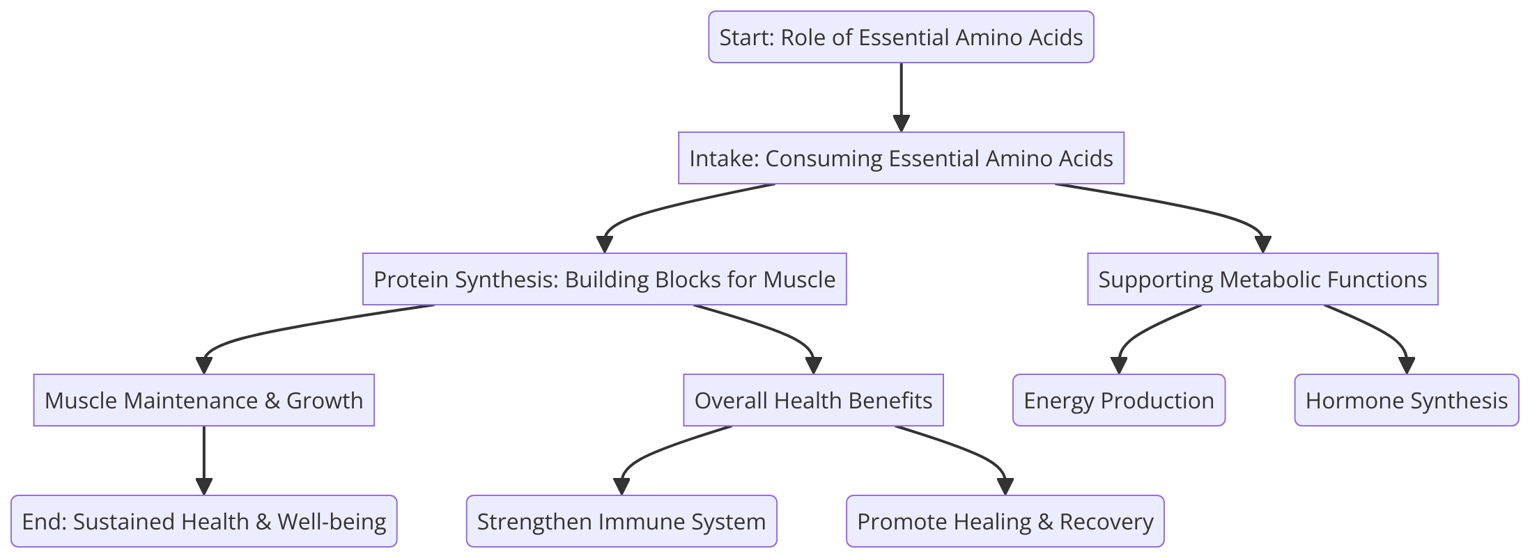 the role of essential amino acids in muscle maintenance and overall health