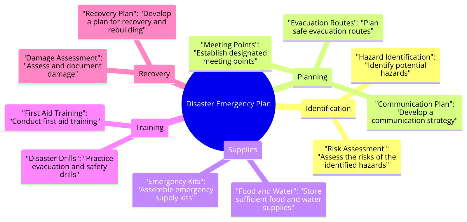 the different parts of a disaster emergency plan