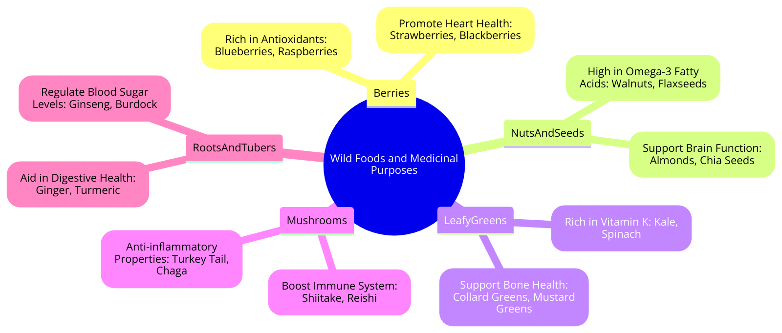 the connection between various wild foods and the specific medicinal purposes they serve
