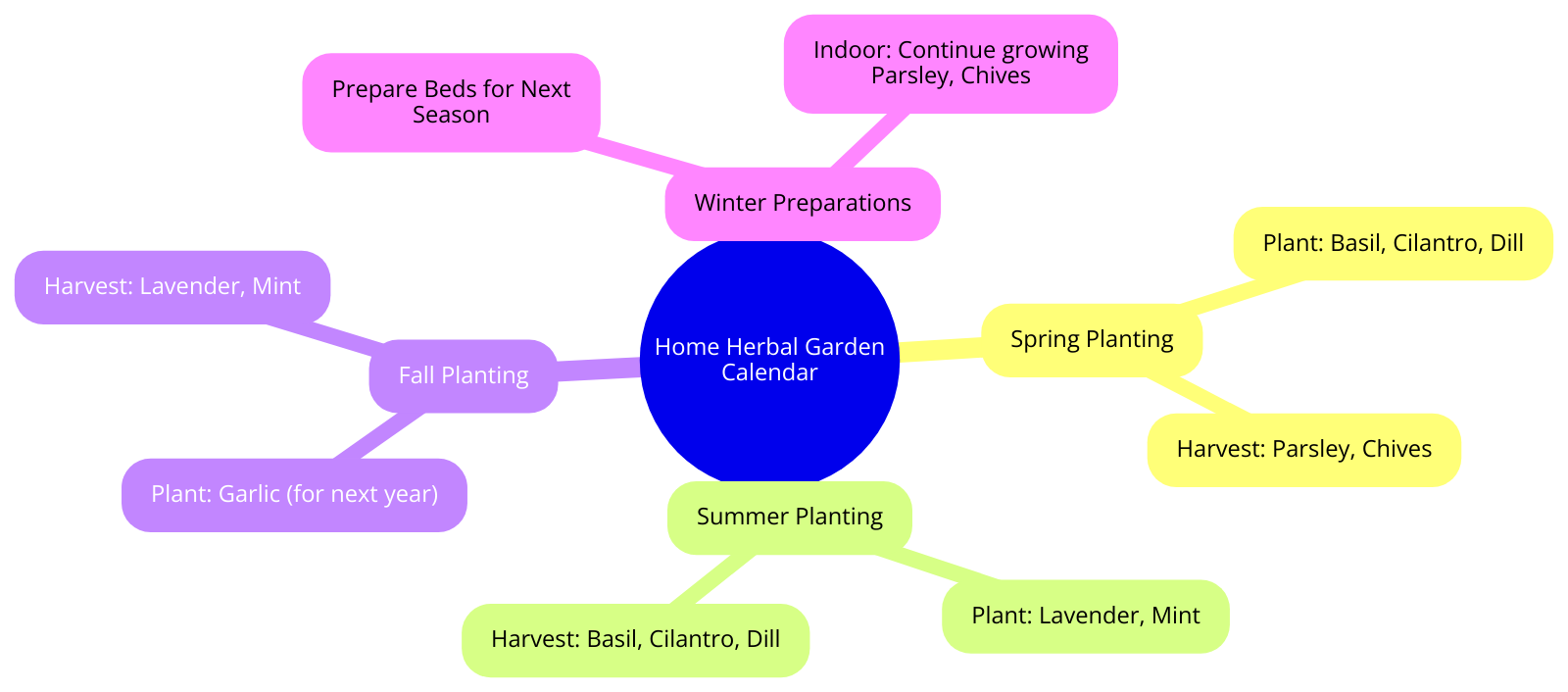 a seasonal planting and harvesting calendar for a home herbal garden